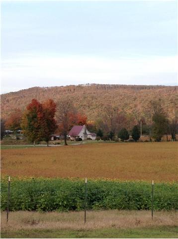 429 Williams Rd, Morrison, TN 37357 photo 30