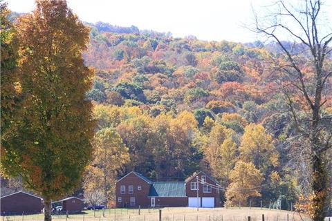 429 Williams Rd, Morrison, TN 37357 photo 2
