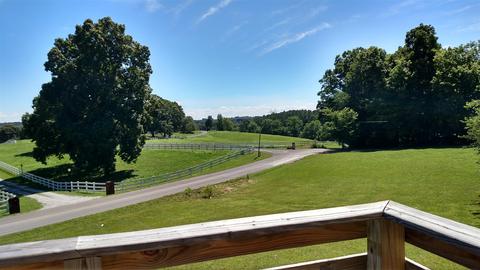 4553 Lahr Rd, Springfield, TN 37172 photo 10