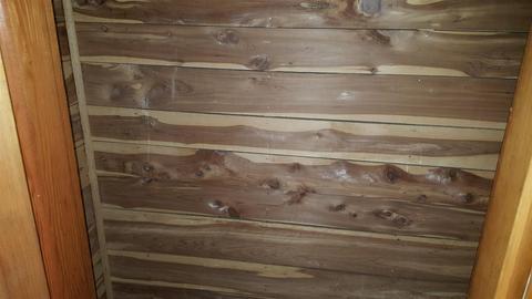 412 Third St, Guthrie, KY 42234 photo 7