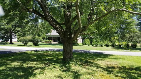 412 Third St, Guthrie, KY 42234 photo 17