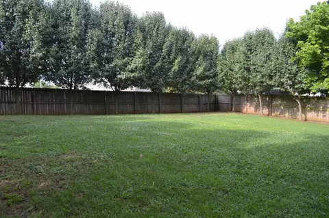 2903 Torrence Trl, Spring Hill, TN 37174 photo 5