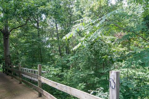 217 Rouse Rd, Dickson, TN 37055 photo 27