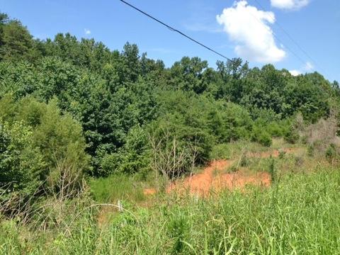 4900 Three Island Rd, Walling, TN 38587 photo 3