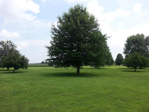 4910 Hyde Rd, Springfield, TN 37172 photo 4