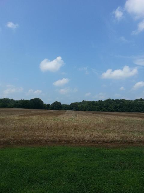 4910 Hyde Rd, Springfield, TN 37172 photo 5