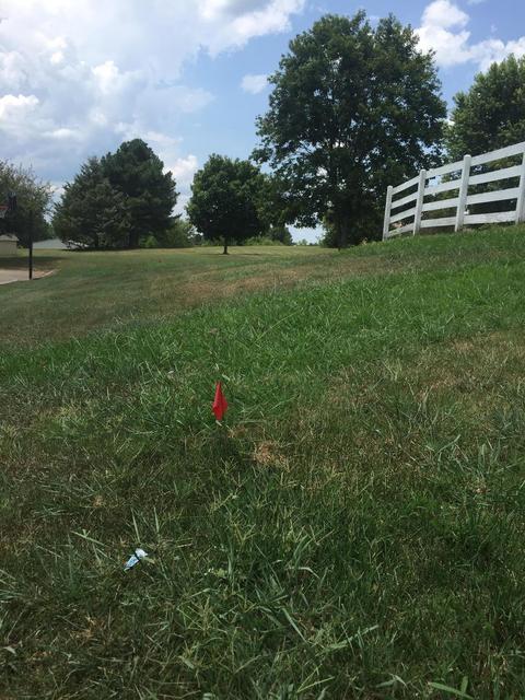2199 Clara Mathis Rd, Spring Hill, TN 37174 photo 22