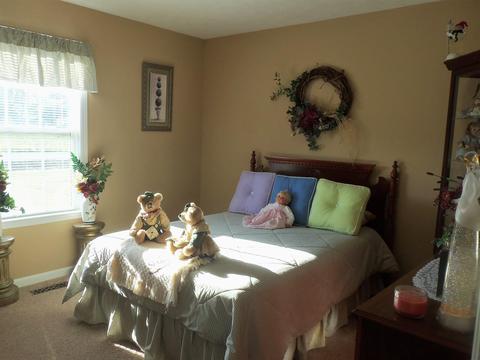 246 Ferrells Loop Rd, Beechgrove, TN 37018 photo 11