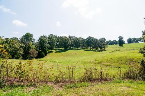 112 Lena Loop, Burns, TN 37029 photo 18