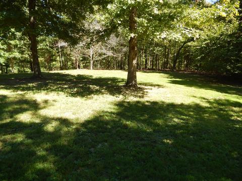 232 E Piney Rd, Dickson, TN 37055 photo 4