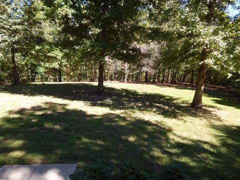 232 E Piney Rd, Dickson, TN 37055 photo 5