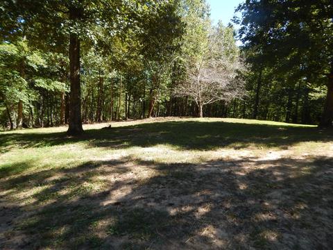 232 E Piney Rd, Dickson, TN 37055 photo 8