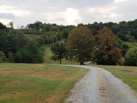 77 Vantrease Rd, Brush Creek, TN 38547 photo 7