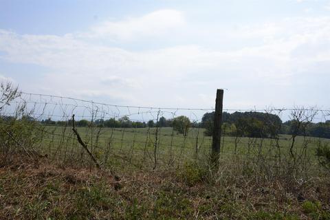 381 Beacon Light Rd, Morrison, TN 37357 photo 22