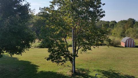 3718 Dobbin Rd, Springfield, TN 37172 photo 8