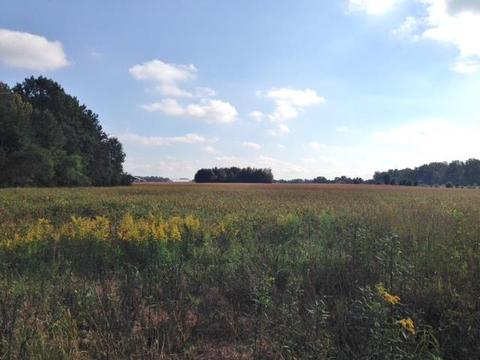 840 Ball Park Rd, Morrison, TN 37357 photo 6