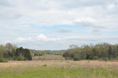 5129 Will Brown Rd, Spring Hill, TN 37174 photo 16