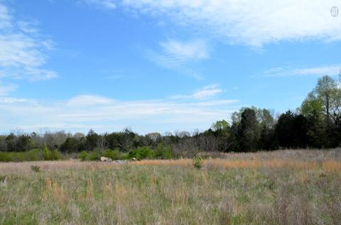 5129 Will Brown Rd, Spring Hill, TN 37174 photo 10