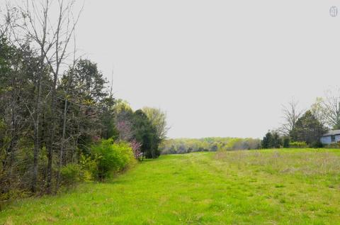 5129 Will Brown Rd, Spring Hill, TN 37174 photo 6