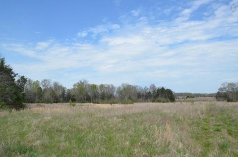 5129 Will Brown Rd, Spring Hill, TN 37174 photo 9