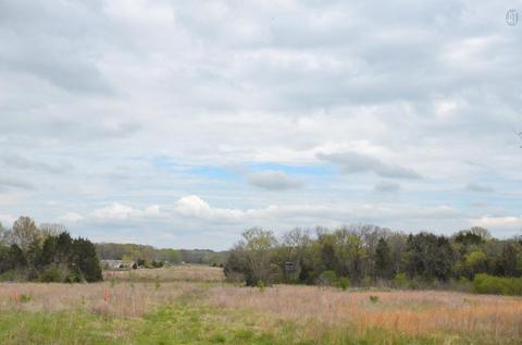 5129 Will Brown Rd, Spring Hill, TN 37174 photo 17