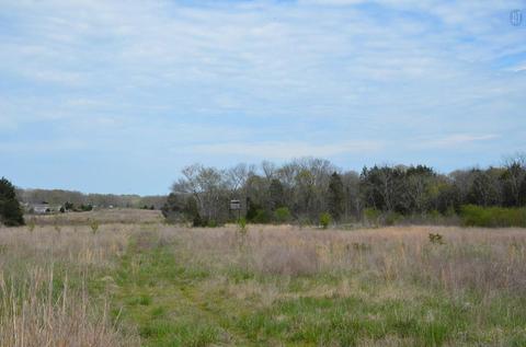5129 Will Brown Rd, Spring Hill, TN 37174 photo 12