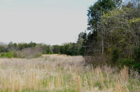 5129 Will Brown Rd, Spring Hill, TN 37174 photo 19