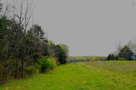 5129 Will Brown Rd, Spring Hill, TN 37174 photo 7