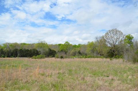 5129 Will Brown Rd, Spring Hill, TN 37174 photo 18