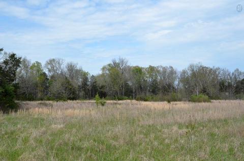 5129 Will Brown Rd, Spring Hill, TN 37174 photo 8