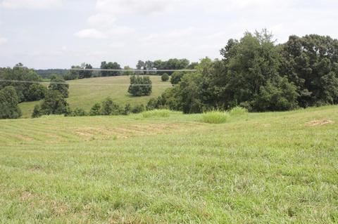 3710 S Hyde Rd, Springfield, TN 37172 photo 9