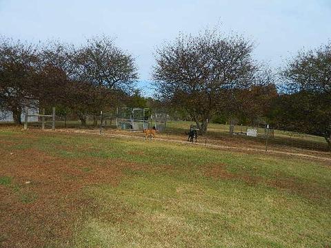 300 Smith Rd, Mcewen, TN 37101 photo 17