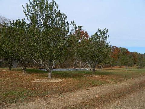 300 Smith Rd, Mcewen, TN 37101 photo 23