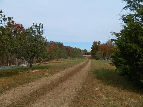 300 Smith Rd, Mcewen, TN 37101 photo 18