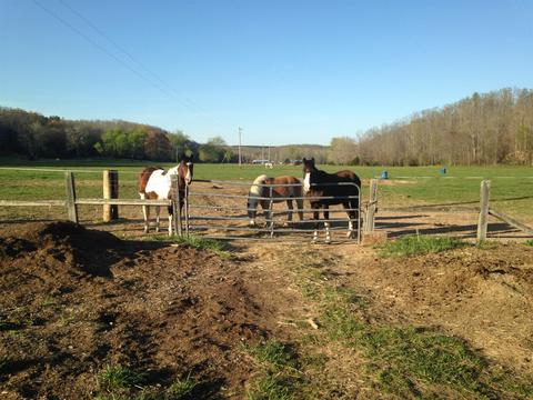 3366 Arnold Rd, Centerville, TN 37033 photo 8
