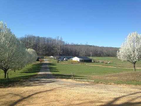 3366 Arnold Rd, Centerville, TN 37033 photo 22