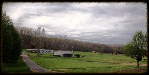 3366 Arnold Rd, Centerville, TN 37033 photo 9