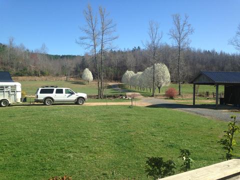 3366 Arnold Rd, Centerville, TN 37033 photo 21