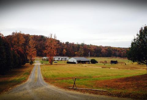 3366 Arnold Rd, Centerville, TN 37033 photo 19