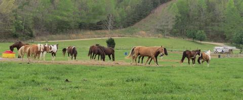 3366 Arnold Rd, Centerville, TN 37033 photo 18