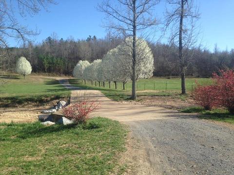 3366 Arnold Rd, Centerville, TN 37033 photo 15