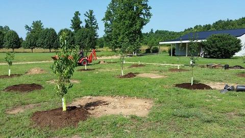 3366 Arnold Rd, Centerville, TN 37033 photo 20