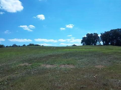 5252 Rolling Acres Rd, Springfield, TN 37172 photo 1