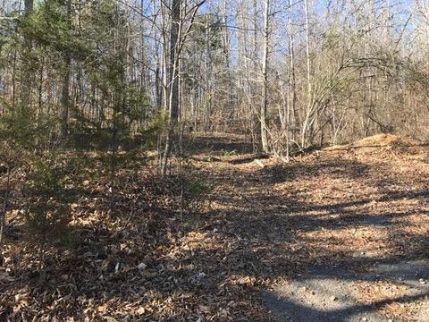 145 Blane Ln, Dover, TN 37058 photo 4