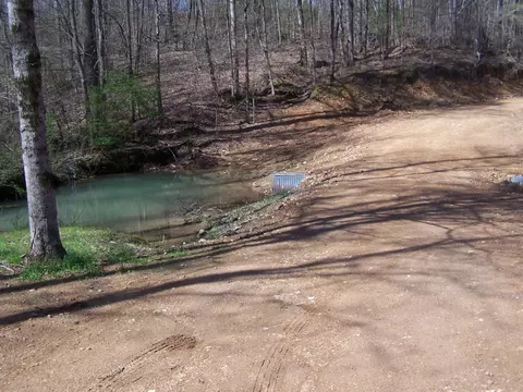 501 Peach Rd, Goodspring, TN 38460 photo 16