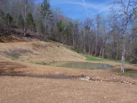 501 Peach Rd, Goodspring, TN 38460 photo 15
