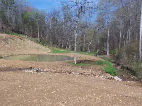 501 Peach Rd, Goodspring, TN 38460 photo 14