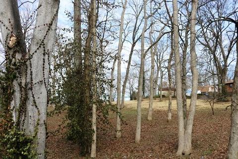 642 E Campbell Rd, Madison, TN 37115 photo 4