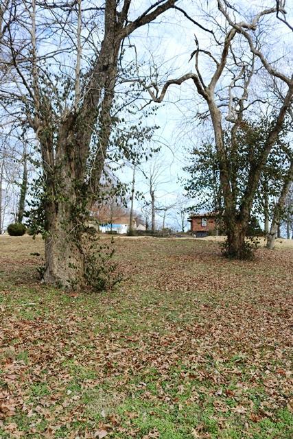 642 E Campbell Rd, Madison, TN 37115 photo 6