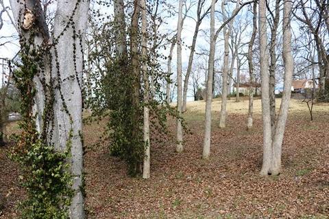 642 E Campbell Rd, Madison, TN 37115 photo 3